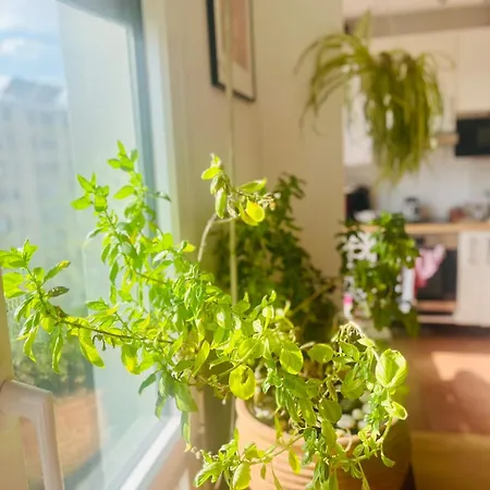 Mobility Lease 70 M2 For 4 Parking Belleville Appartement