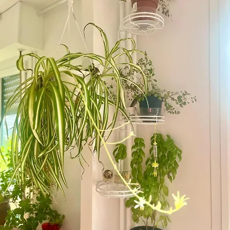 Mobility Lease 70 M2 For 4 Parking Belleville Parijs