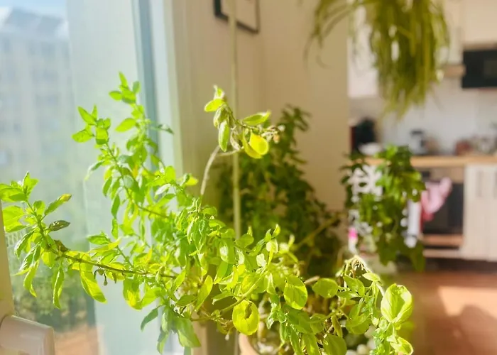 Mobility Lease 70 M2 For 4 Parking Belleville Appartement