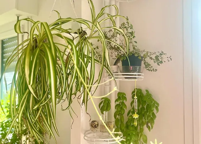 Mobility Lease 70 M2 For 4 Parking Belleville Parijs